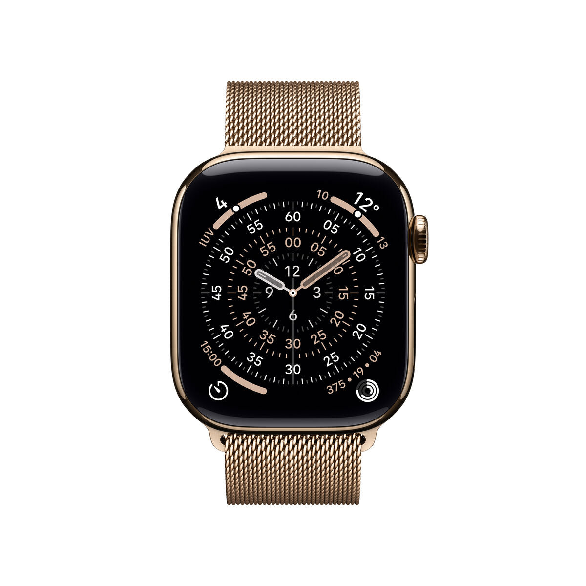 Smartwatch Apple Titanium-12