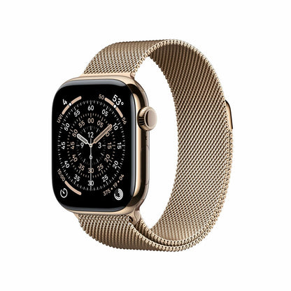 Smartwatch Apple Titanium-11